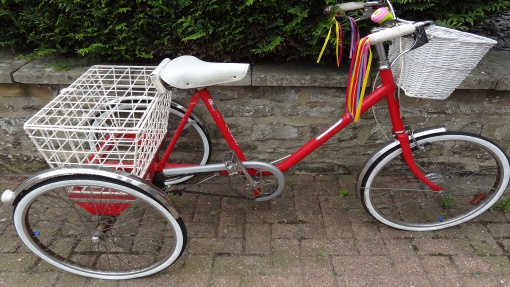 Bike number Child-10.