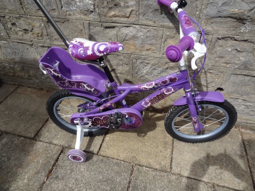 Bike number Child-17.