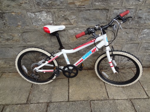 Bike number Child-20.