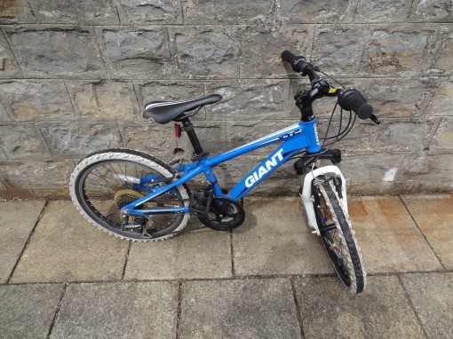 Bike number MTB20-01.
