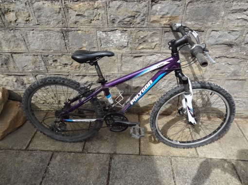 Bike number MTB24-08.