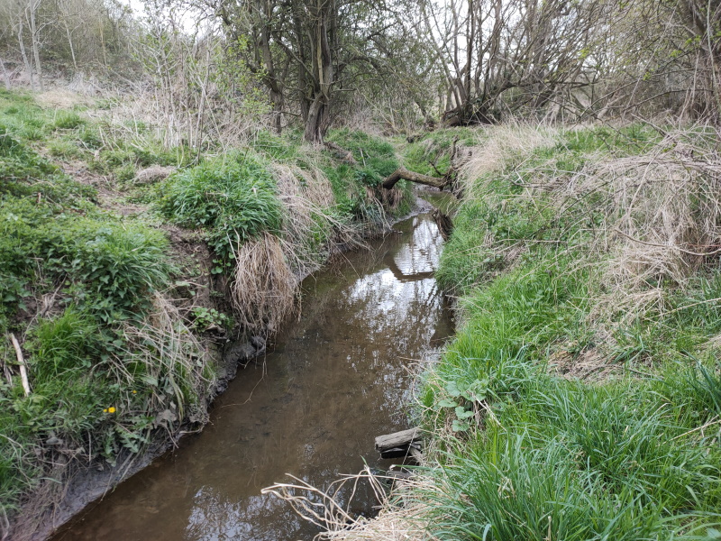 Stream crossing